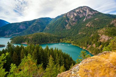 Şeker hastalığı Lake Washington