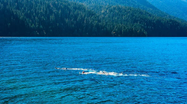 Snorkelers underwater in Crescent Lake — Stock Photo, Image