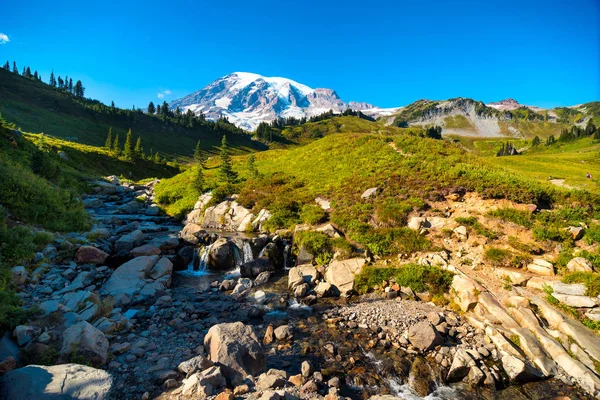 Mount Rainier uzak manzara — Stok fotoğraf