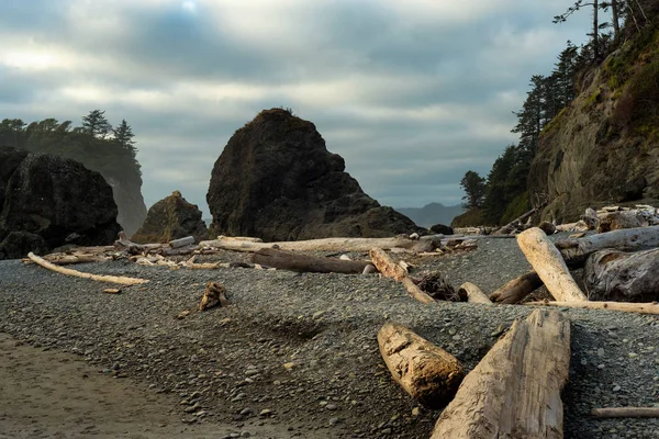 Rugged Pacific beach — Stock Photo, Image