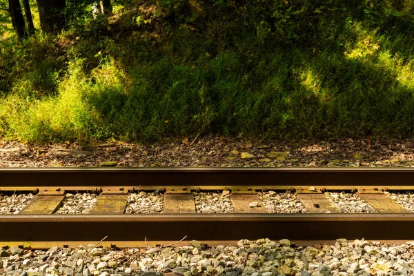 Forest järnvägen tvärsnitt — Stockfoto