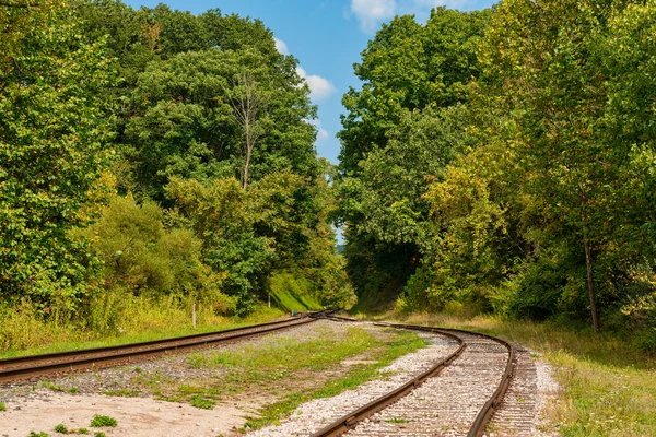 Järnvägen i skogen — Stockfoto