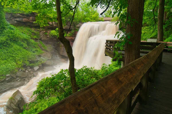 Brandywine Falls torrente — Fotografia de Stock