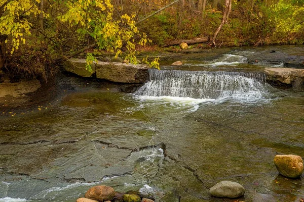 Kleine waterval in een bos kreek — Stockfoto