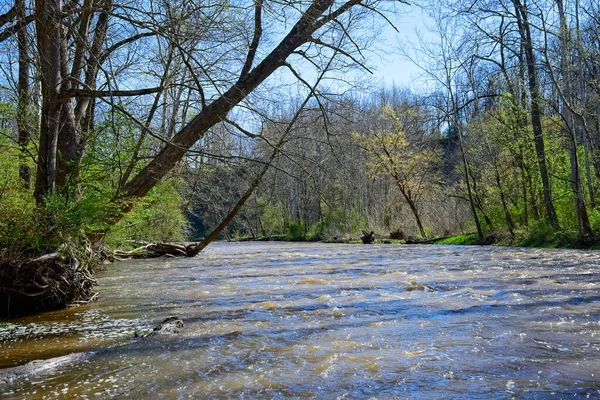 Rio Chagrin Nordeste Ohio Está Caindo Fase Inundação Após Fortes — Fotografia de Stock