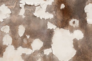 Beyaz boyalı eski bir fiberboard duvar yüzeyinin ayrıntıları çoğunlukla dökülmüş; arka plan dokusu için kullanışlı