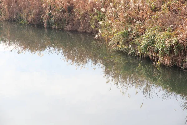 Dit Een Foto Van Rivieroever Het Gras Kust Genomen Door — Stockfoto