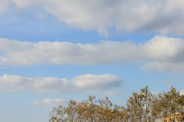 Dies Ist Der Frühe Winter Mit Weißen Wolken Und Blauem lizenzfreie Stockbilder