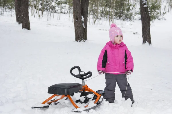 Winter in the forest little girl riding on snow-cats. — Stock Photo, Image