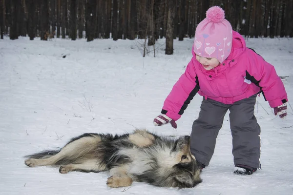 Vinter i skogen lite flicka som leker med en hund. — Stockfoto