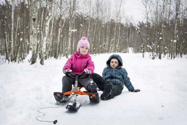 Invierno en el bosque niños trineos . — Foto de Stock