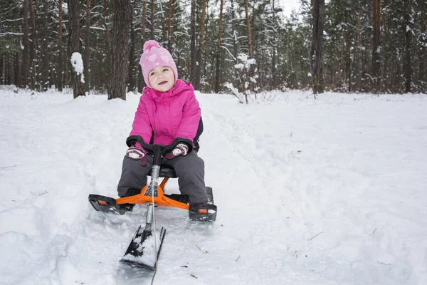 Winter in the forest little girl riding on snow-cats. Royalty Free Stock Photos