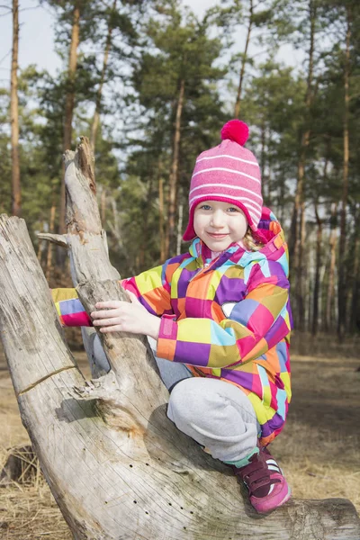 Jaro v borovém lese dívka sedí na naplavené dříví. — Stock fotografie