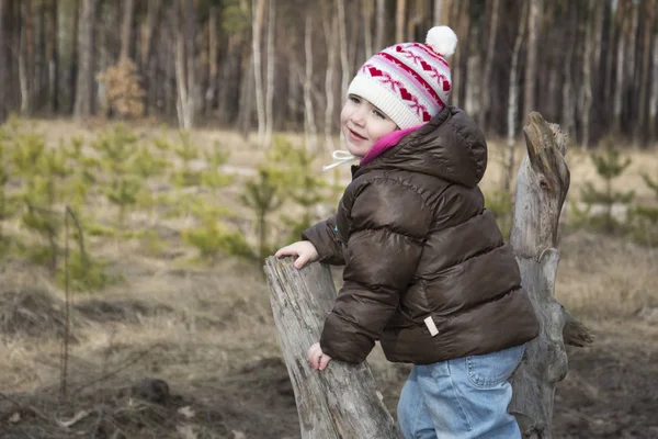 Spring in a pine forest girl sitting on driftwood. — Stock Photo, Image