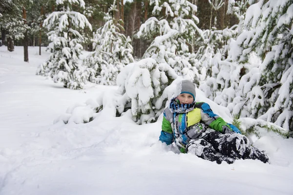 In winter, snow-covered pine forest boy lies near the snowdrift. — Stock Photo, Image