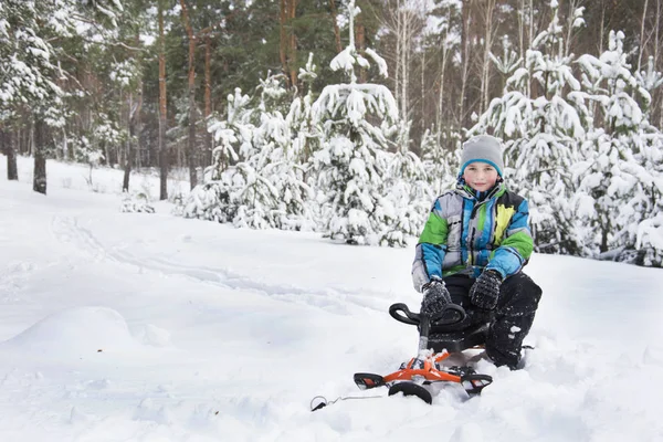 In winter, the snow-covered forest boy sitting on a sledge. — Stock Photo, Image