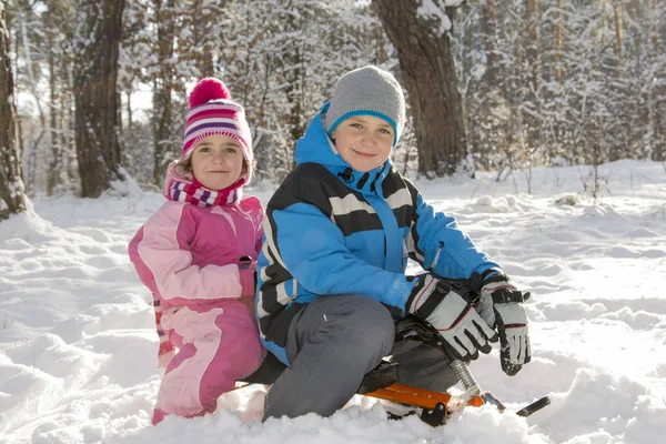 Το χειμώνα μέσα στο δάσος, ένα μικρό αγόρι και κορίτσι κάθεται σε ένα έλκηθρο. — Φωτογραφία Αρχείου