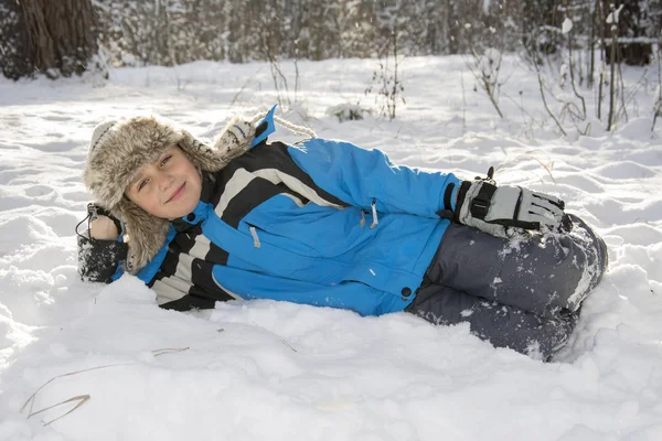 No inverno, um dia ensolarado brilhante na floresta na neve é um pouco — Fotografia de Stock