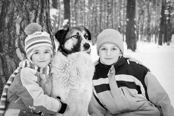 Im Winter spielen die verschneiten Waldkinder mit dem Hund. — Stockfoto
