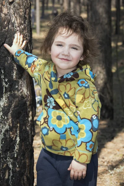 Primavera en un bosque de pinos es una niña divertida . —  Fotos de Stock