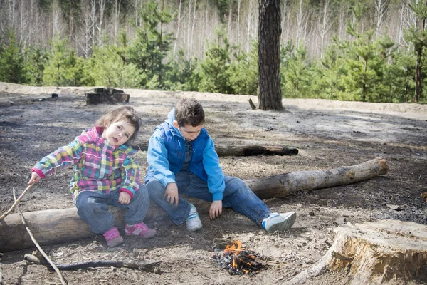 No verão, o irmão e a irmã da floresta sentados em um tronco perto de t — Fotografia de Stock