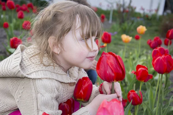 Весна в саду красивой маленькой девочки сидит и нюхает — стоковое фото