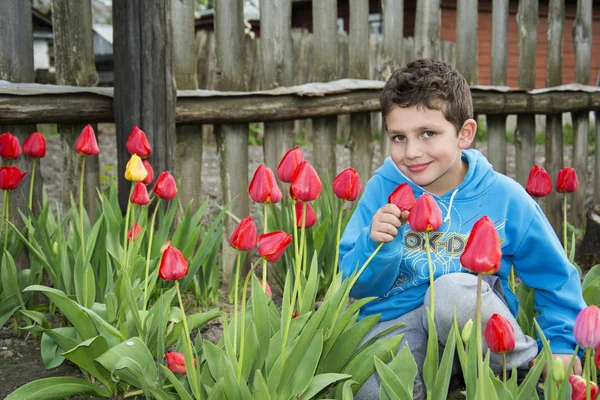 Lente in de tuin van een prachtige kleine jongen zitten in de buurt van tulpen — Stockfoto