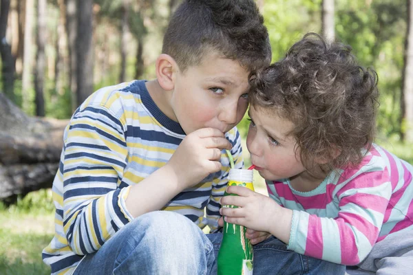 ボーから森兄と妹の飲む水の春します。 — ストック写真