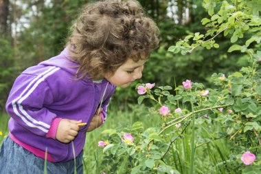 Spring in the forest a little curly-haired girl sniffs a flower  clipart