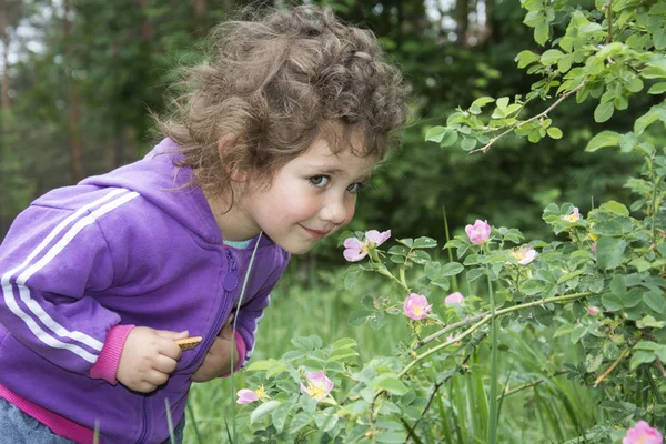 La primavera nella foresta una piccola ragazza dai capelli ricci annusa un fiore — Foto Stock