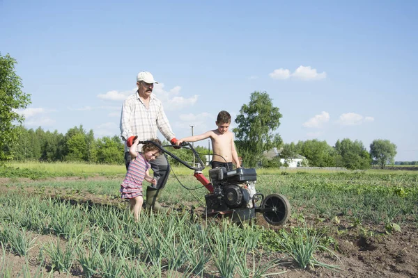 Primavera en el hombre del jardín arando la tierra motor-bloque pequeño hijo y — Foto de Stock