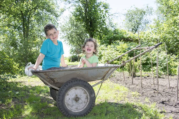 In the summer in the garden in a wheelbarrow sit laughing little — Stock Photo, Image