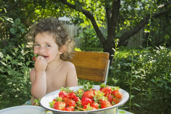 No verão no jardim uma menina engraçada come morango — Fotografia de Stock