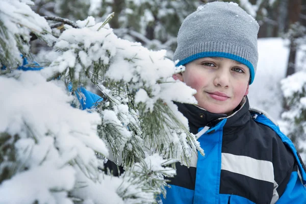 Im Winter im schneebedeckten Kiefernwald steht ein Junge im Schnee. — Stockfoto