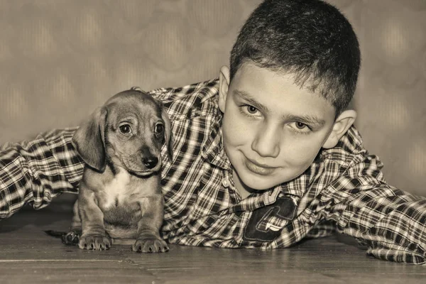 El chico de la habitación está jugando con un pequeño perro salchicha . — Foto de Stock