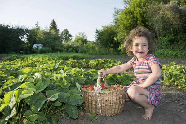 In de zomer in de tuin in de buurt van de bedden van aardbeien sittin — Stockfoto