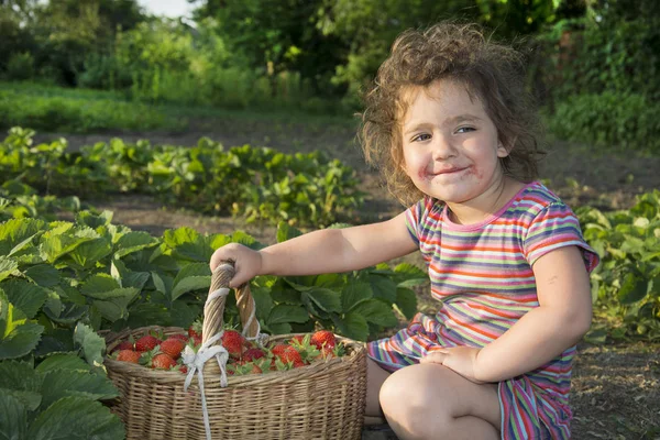I sommaren i trädgården nära sängar av jordgubbar sittin — Stockfoto