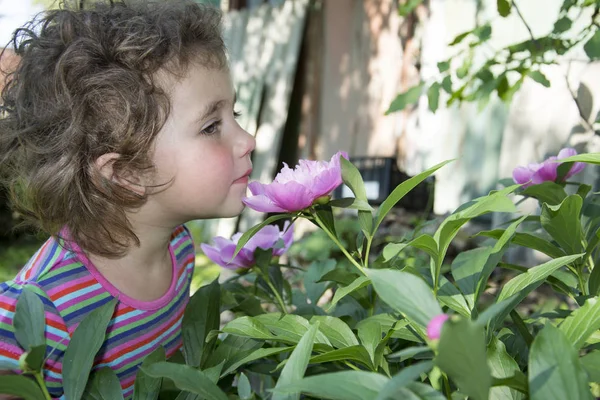 In estate in giardino una ragazzina annusa un fiore di peonia — Foto Stock