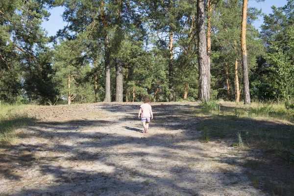 Zomer in een dennenbos is een klein meisje. — Stockfoto