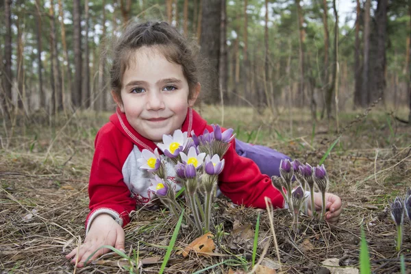 Im Frühling im Wald umarmt ein kleines Mädchen die Blumen zu pa — Stockfoto