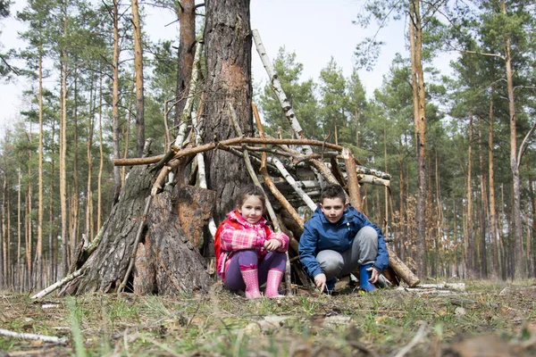 In the spring in a pine forest, a brother with a small sister bu — Stock Photo, Image