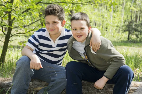 Im Sommer sitzen zwei Freunde auf einem langen Baumstamm im Wald. — Stockfoto