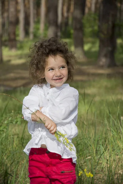 In summer, in the forest, a small curly girl holds a flower and — Stock Photo, Image