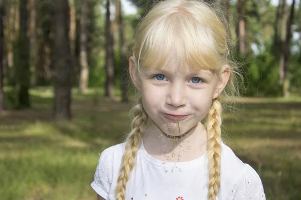 Im Sommer im Wald hält ein kleines blondes Mädchen mit Zöpfen — Stockfoto