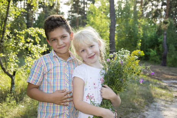 No verão na floresta, um menino pequeno abraçou a menina e gav — Fotografia de Stock