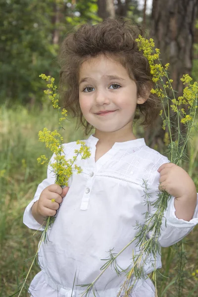 In estate, nella foresta, una piccola ragazza riccia tiene un fiore e — Foto Stock