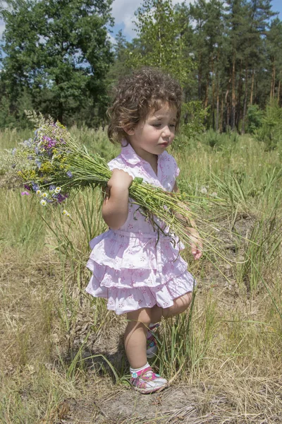 In the summer on the lawn the  small  curly  girl holds a bouque — Stock Photo, Image