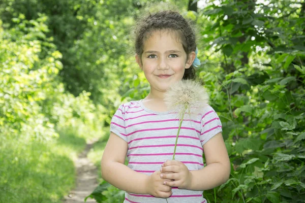 森の中で夏の少女は、大きなタンポポを保持している私 — ストック写真