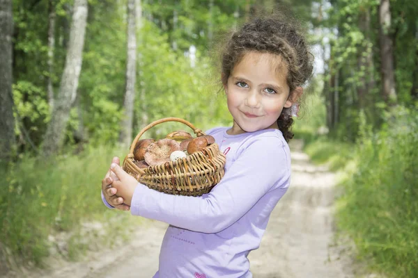 In de zomer in het bos verzamelde een klein meisje een mandje van m — Stockfoto