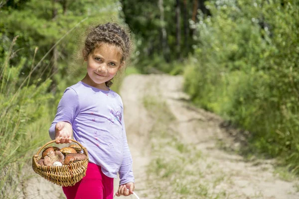 En été dans les bois une petite fille a recueilli un panier de m — Photo